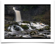 Thornton Force - Bill Rigby